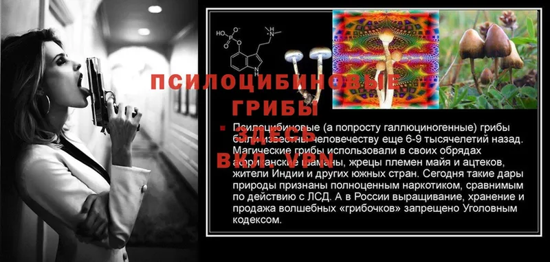 Галлюциногенные грибы Magic Shrooms  где купить наркотик  Сретенск 